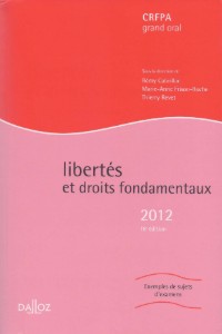 Couverture – Libertés et droits fondamentaux, 18e éd.